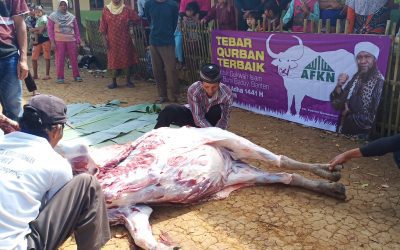 AFKN Tebar Qurban Terbaik 2020